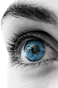 Eye Care