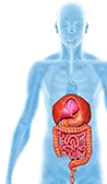 Gastrointestinal