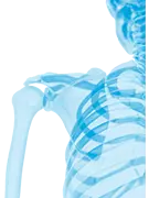 Healthy Bones